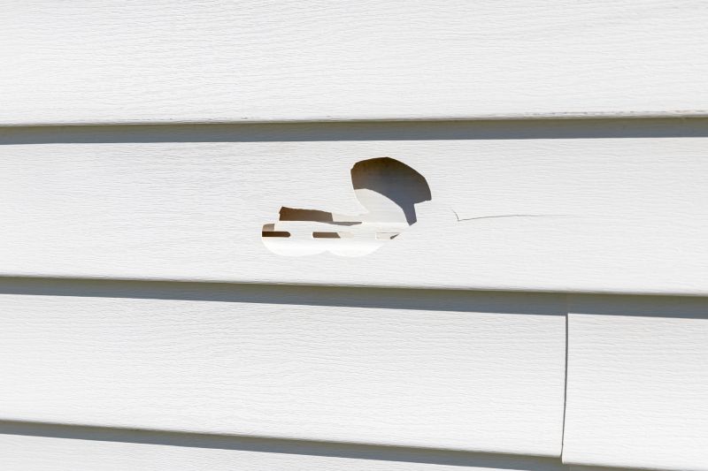Fixing Cracks and Holes in Vinyl Siding