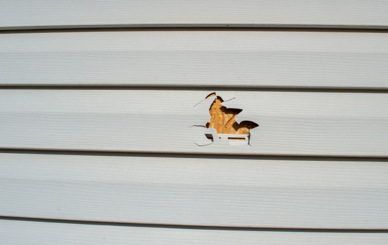 Assessment of Vinyl Siding Damage