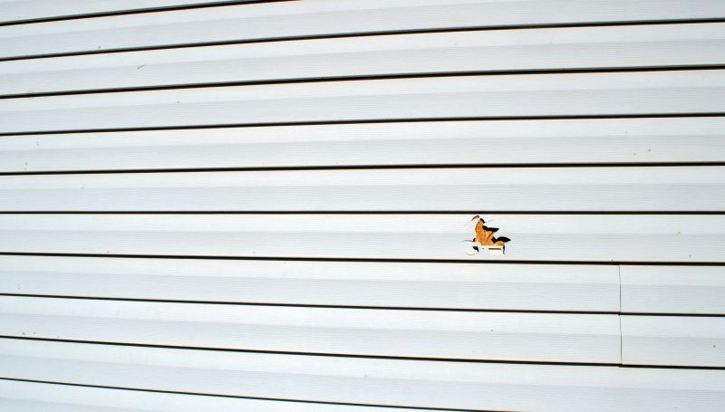 Emergency Siding Repairs